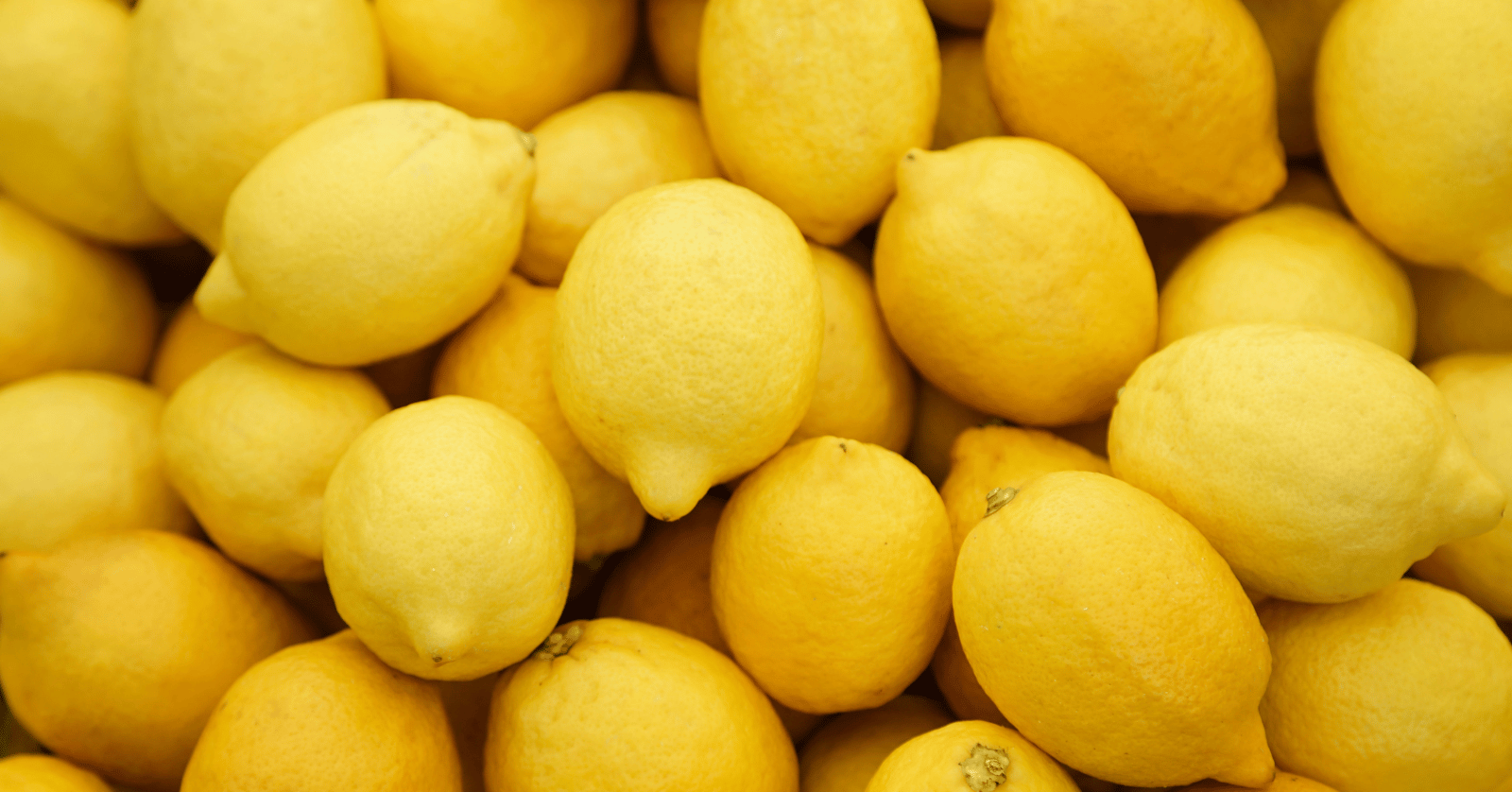 레몬효능부작용