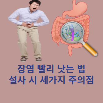 장염 설사 노로바이러스