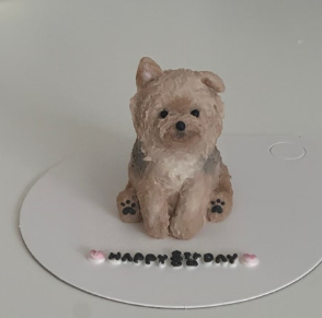 왈테이블 강아지 케이크 종류