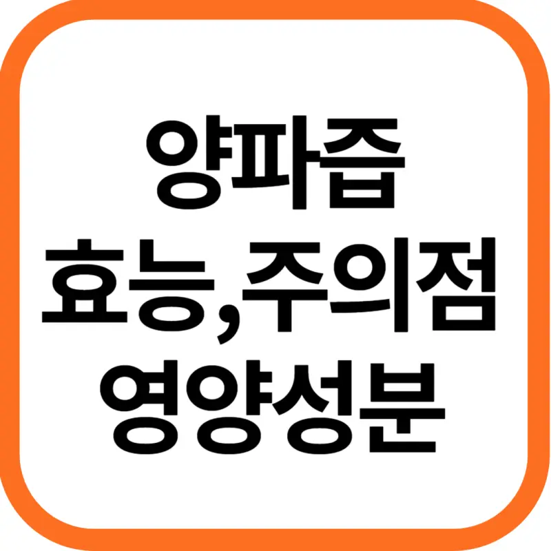 양파즙 효능 및 영양성분, 주의점