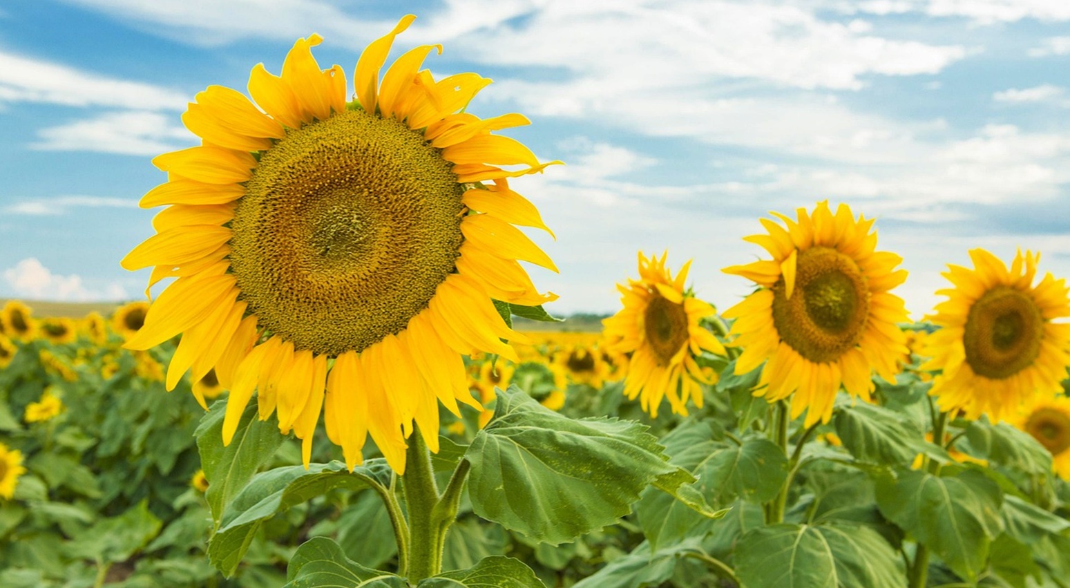 기후위기는 부동산 가격을 결정하는 기준이 바뀌고 있다