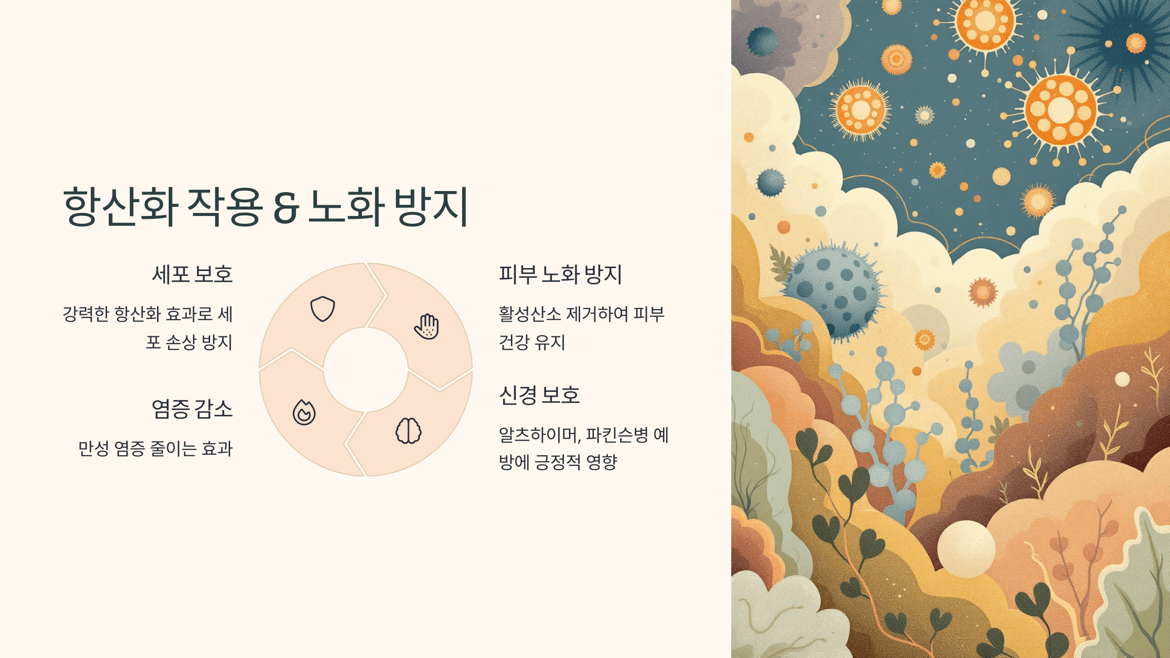 멜라토닌과 관련된 사진입니다.