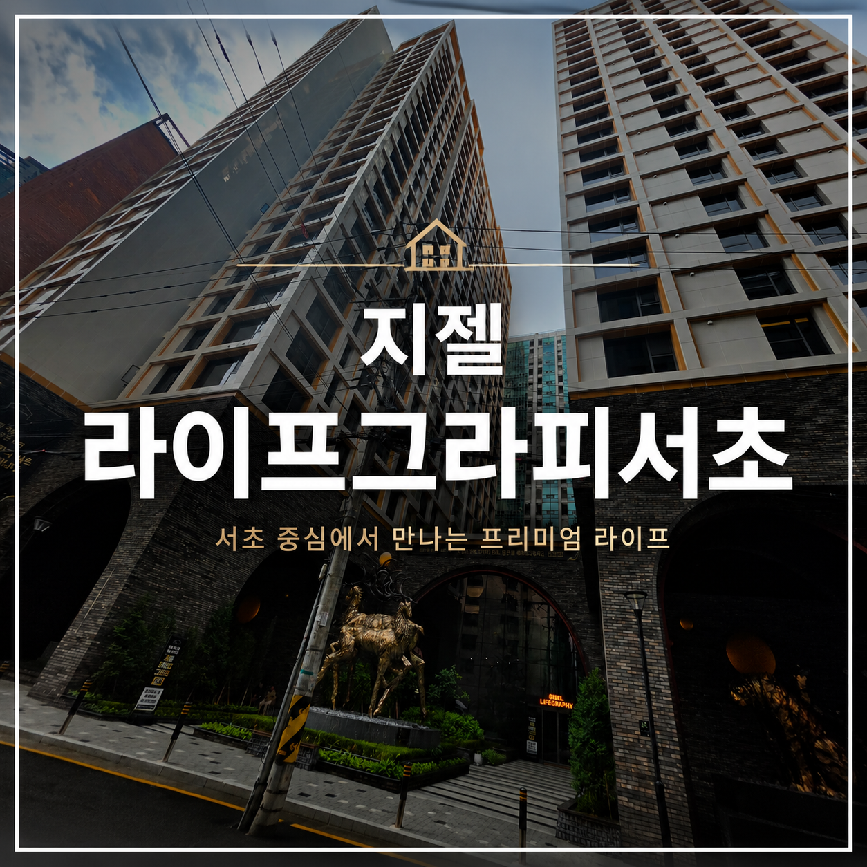 지젤 라이프그라피 서초