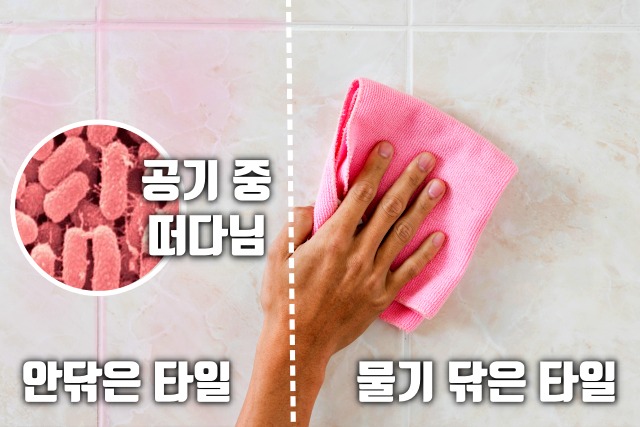 가습기 분홍색 물때 욕실 붉은색 물때 세라티아 마르세센스 세면대 물컵, 생활 건강 팁줌 매일꿀정보