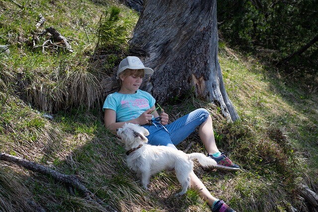 반려동물 행동교정 신청방법