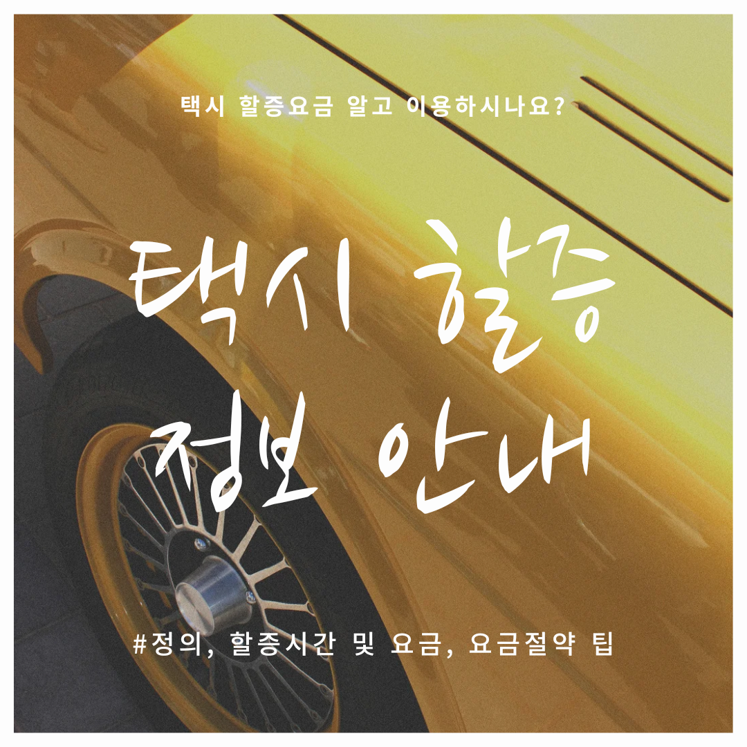 택시 할증 정보 안내