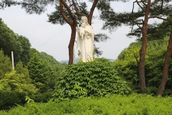 천진암 흰민들레 백양자연관찰로 괭이눈 개화_25