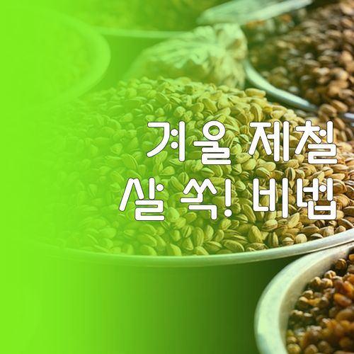 겨울철 체중 감량을 돕는 제철 식재료..