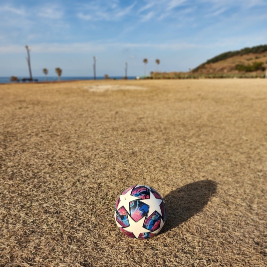 함덕해수욕장 잔디 밭 공놀이