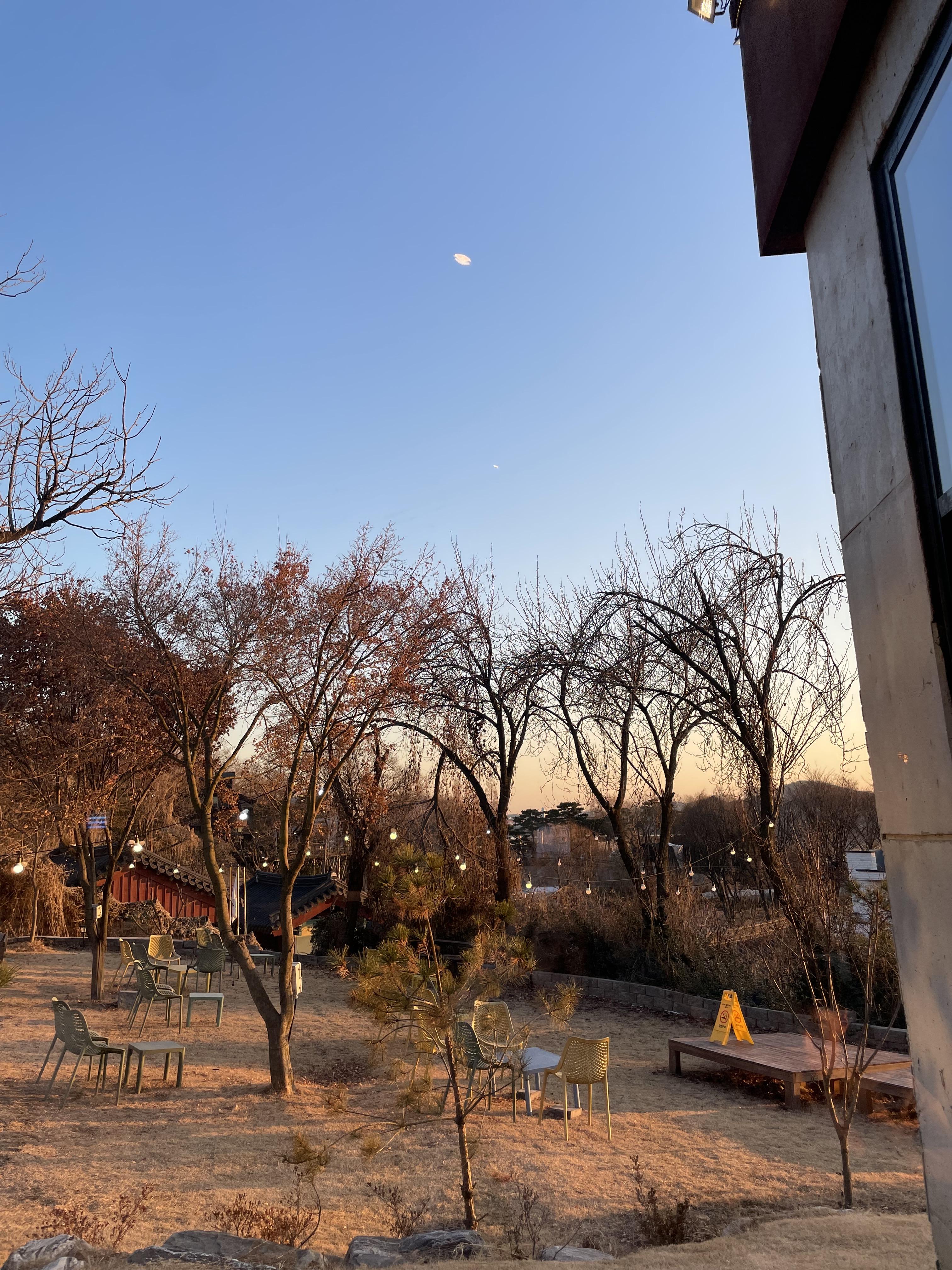 카페 다르모