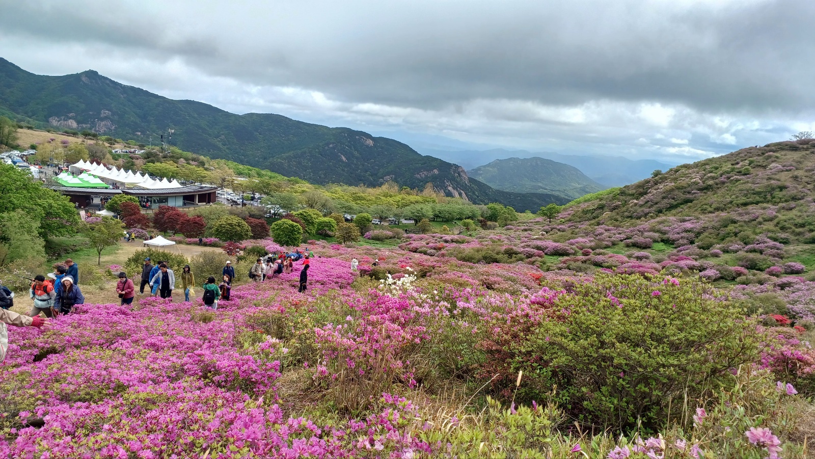 합천 황매산