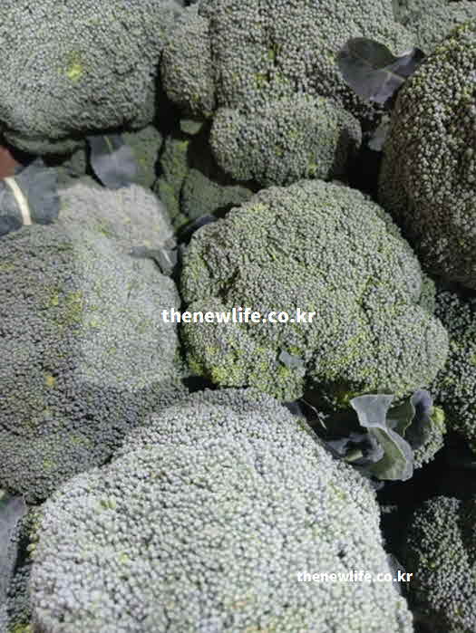 간 좋은 음식 채소 브로콜리