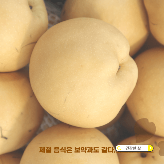 10월 제철 과일
