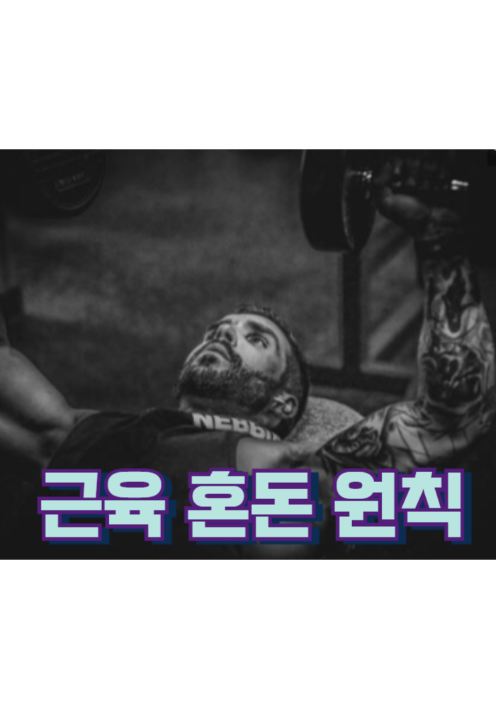 1.근육 혼돈 원칙