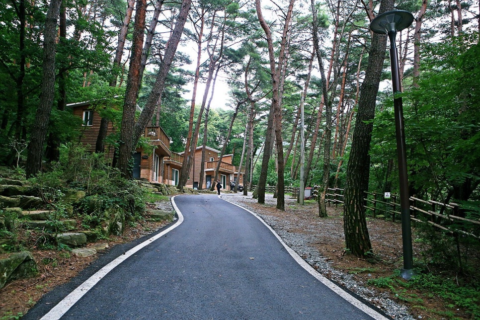 조령산 자연휴양림