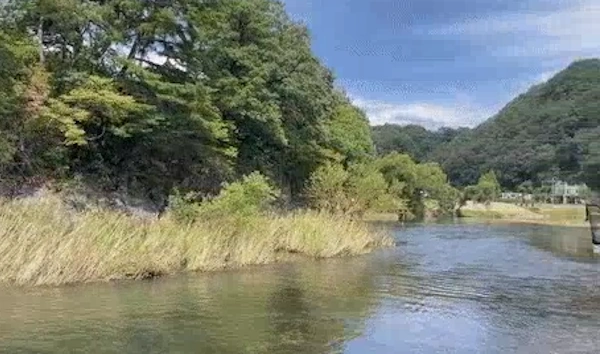 낮과 밤이 다른 그녀 청주 옥화대