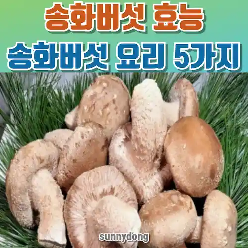 송화버섯 효능 및 요리법 송화버섯으로 할 수 있는 맛있는 요리 5가지