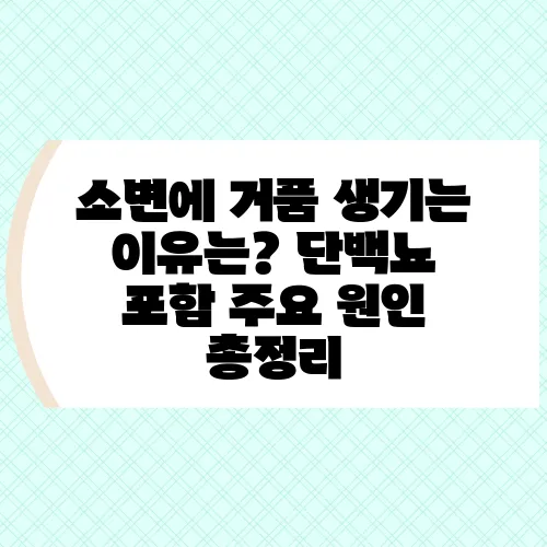 소변에 거품 생기는 이유는? 단백뇨 포함 주요 원인 총정리