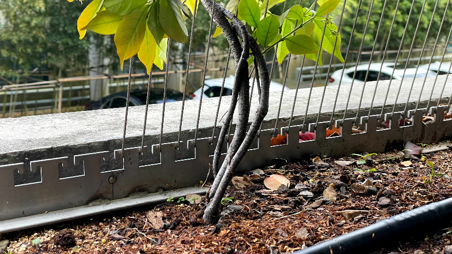 F1963 주차장 디테일