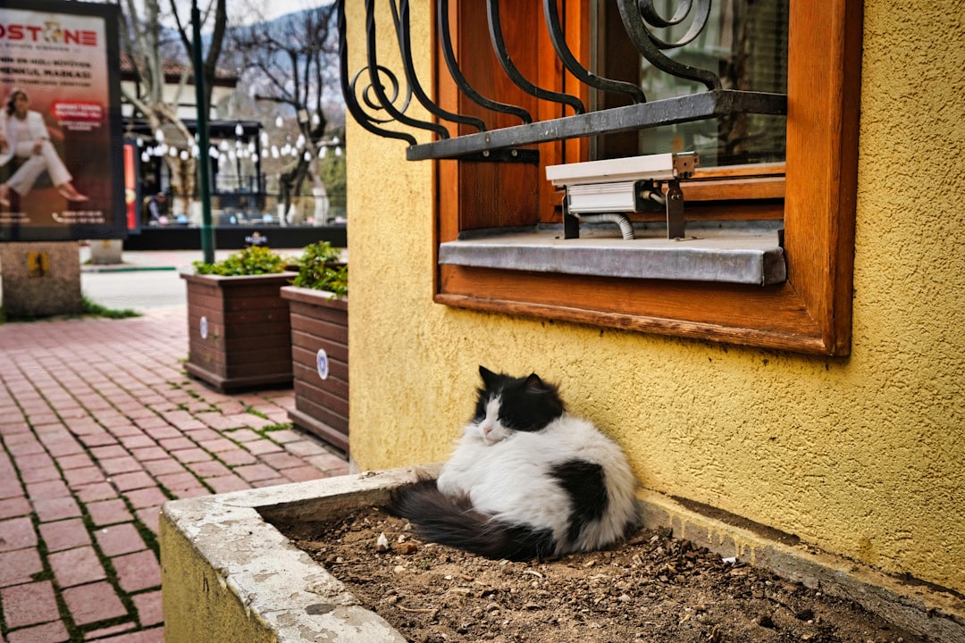 Landlord.
