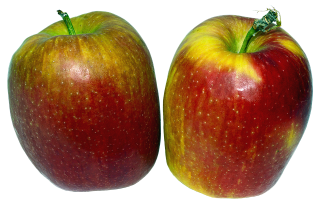 한국어 맞춤법과 띄어쓰기 지도 전략