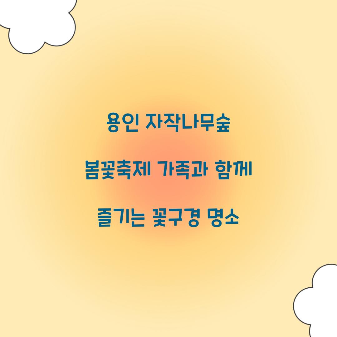 용인 자작나무숲 봄꽃축제