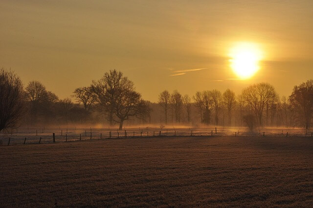 민생지원금 신청