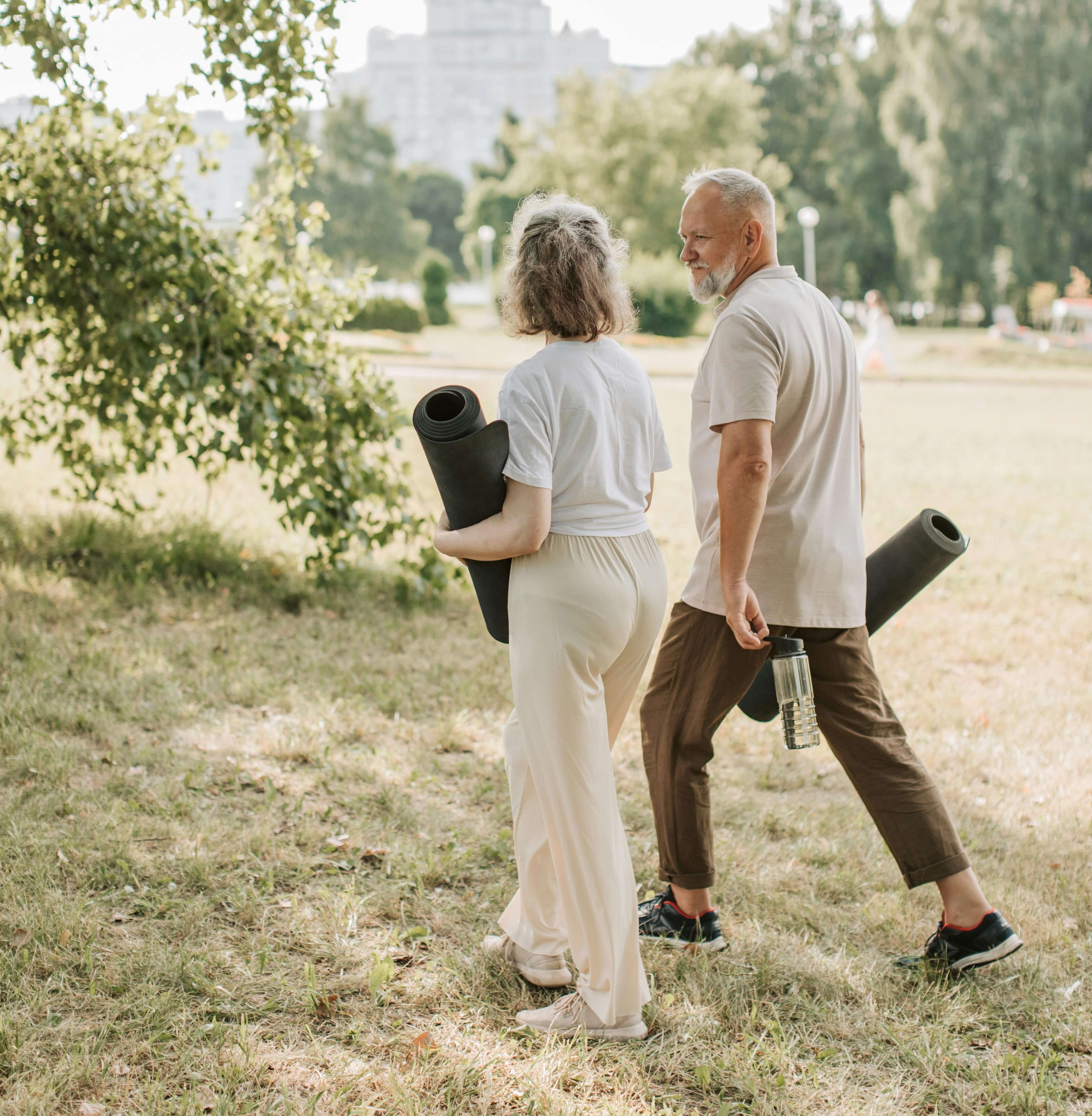 코엔자임 Q10 에너지생산