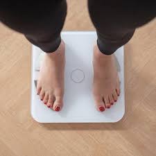 체지방률 정상범위