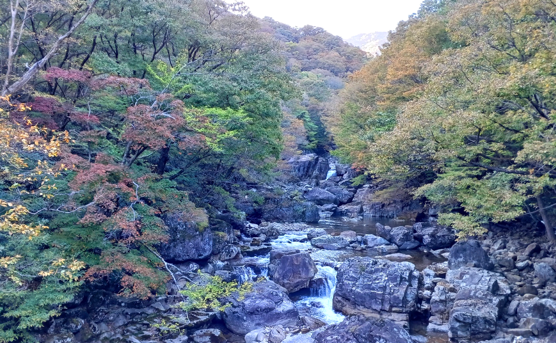 지리산 피아골 계곡