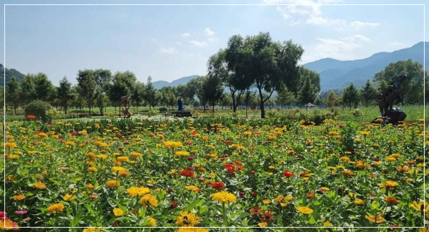 양구 가볼만한곳 베스트10 한반도섬