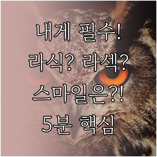 나에게 가장 적합한 시력 교정술: 라..