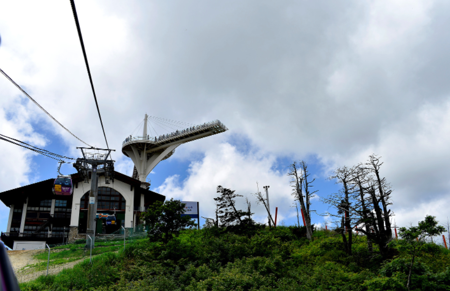 평창 발왕산 스카이워크