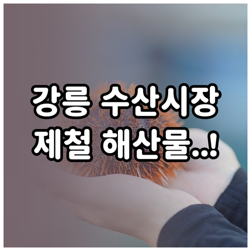 강릉 중앙시장과 주문진 수산시장 제철..