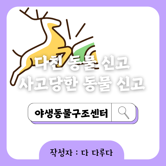 다친 동물 신고 야생동물구조센터