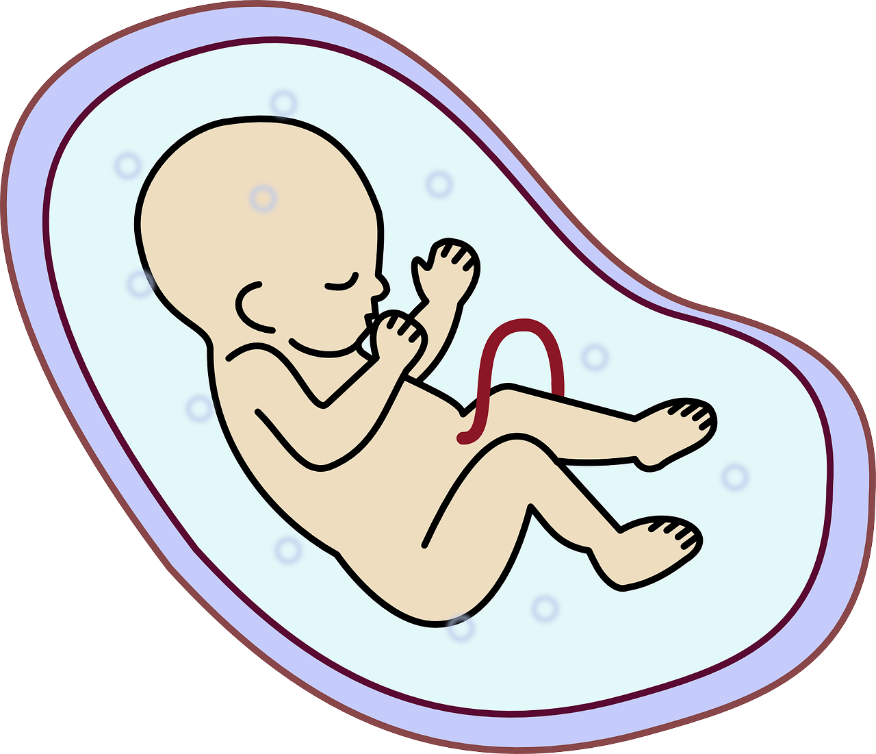 냉동 배아 임신