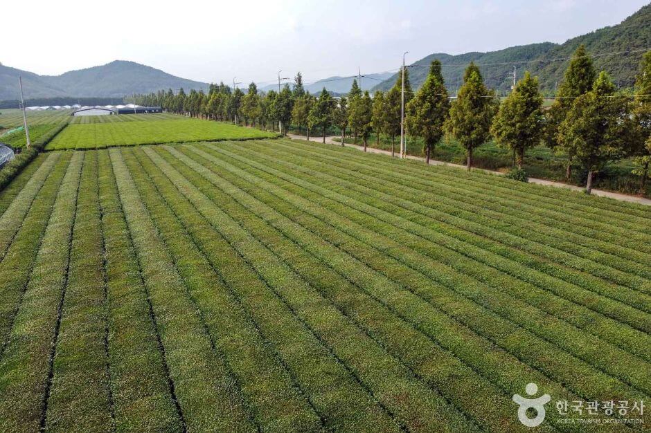 사천 가볼만한곳 베스트 10