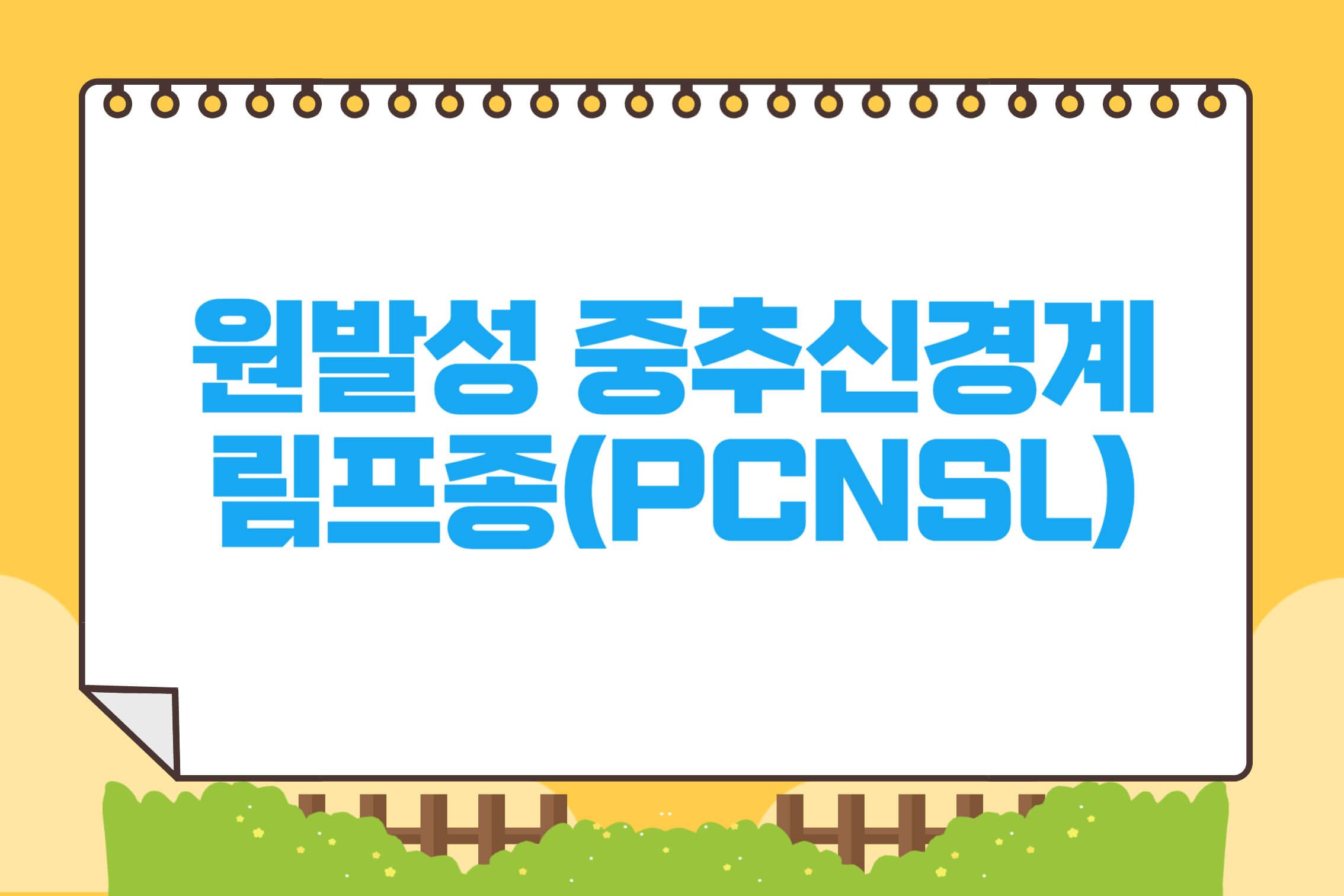 원발성 중추신경계 림프종(PCNSL)