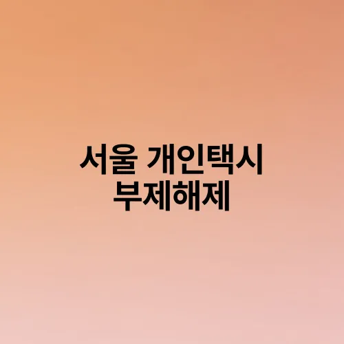 서울 개인택시 부제해제