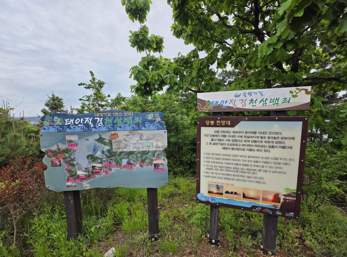 태안 서해랑길 완주 원정대 서해랑길 72코스