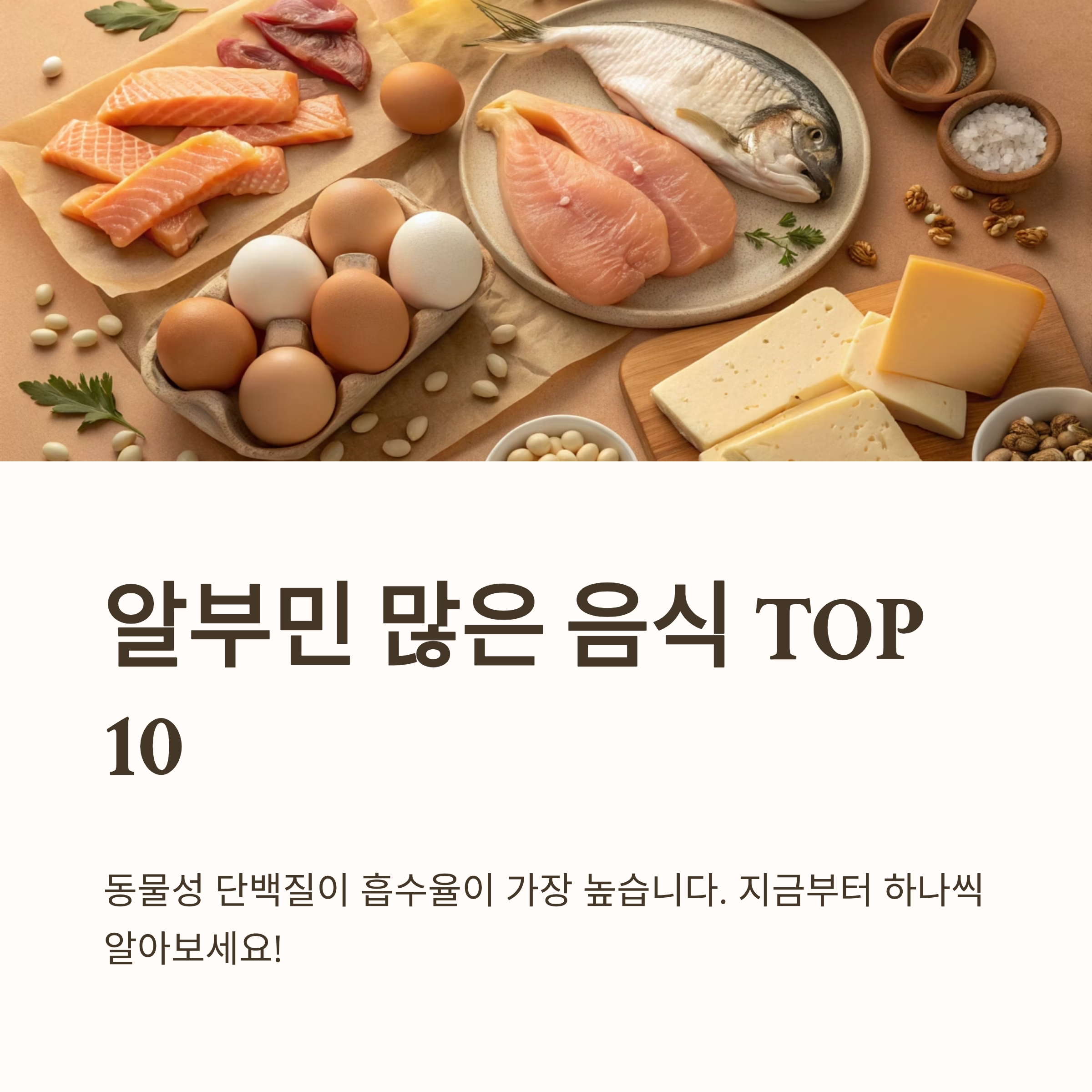 알부민 많은 음식 10가지|간 건강·면역력·부종 개선에 좋은 고단백 식단 총정리