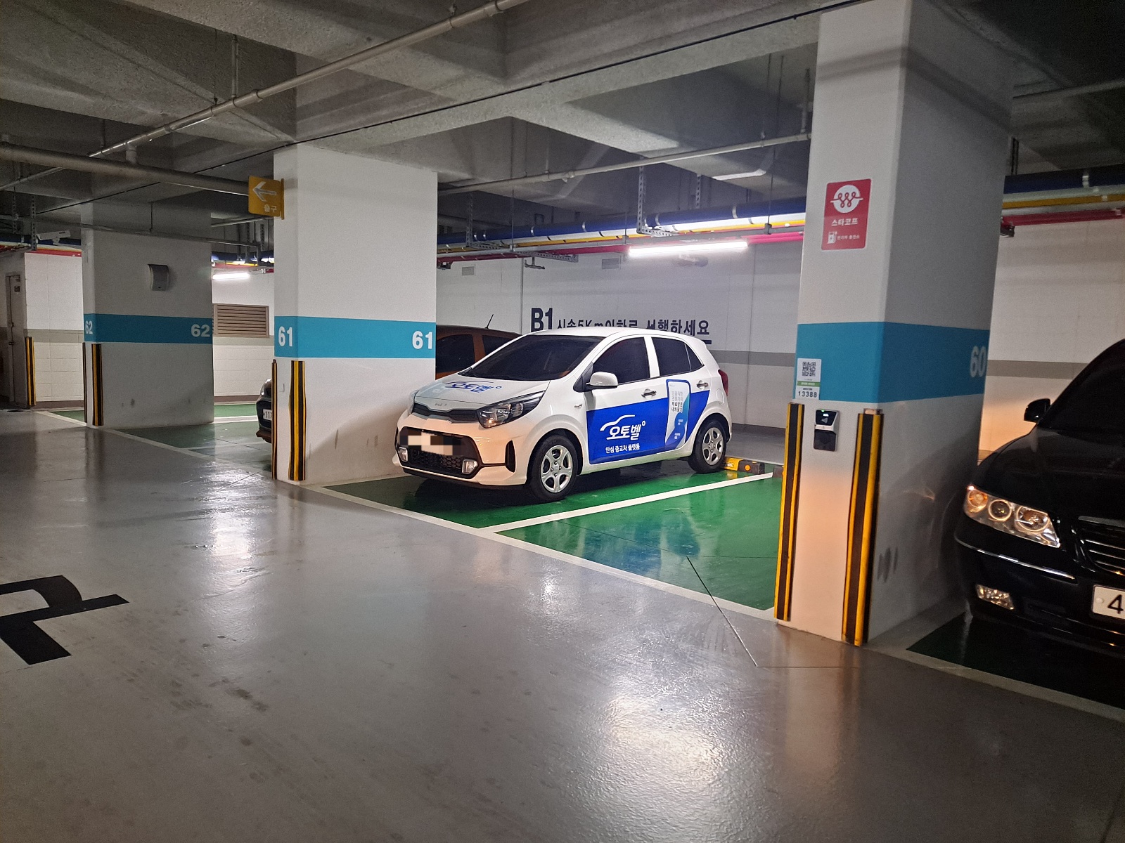 오토벨-견적-차량