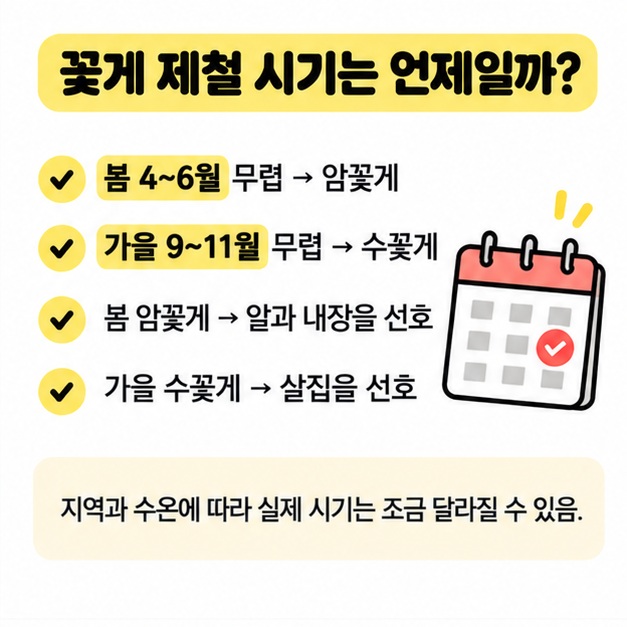 봄과 가을 꽃게 제철 시기를 암꽃게 수꽃게로 비교한 이미지
