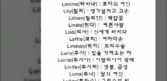 웃긴 닉네임 추천 재밌는 닉네임 웃긴 이름 모음_6