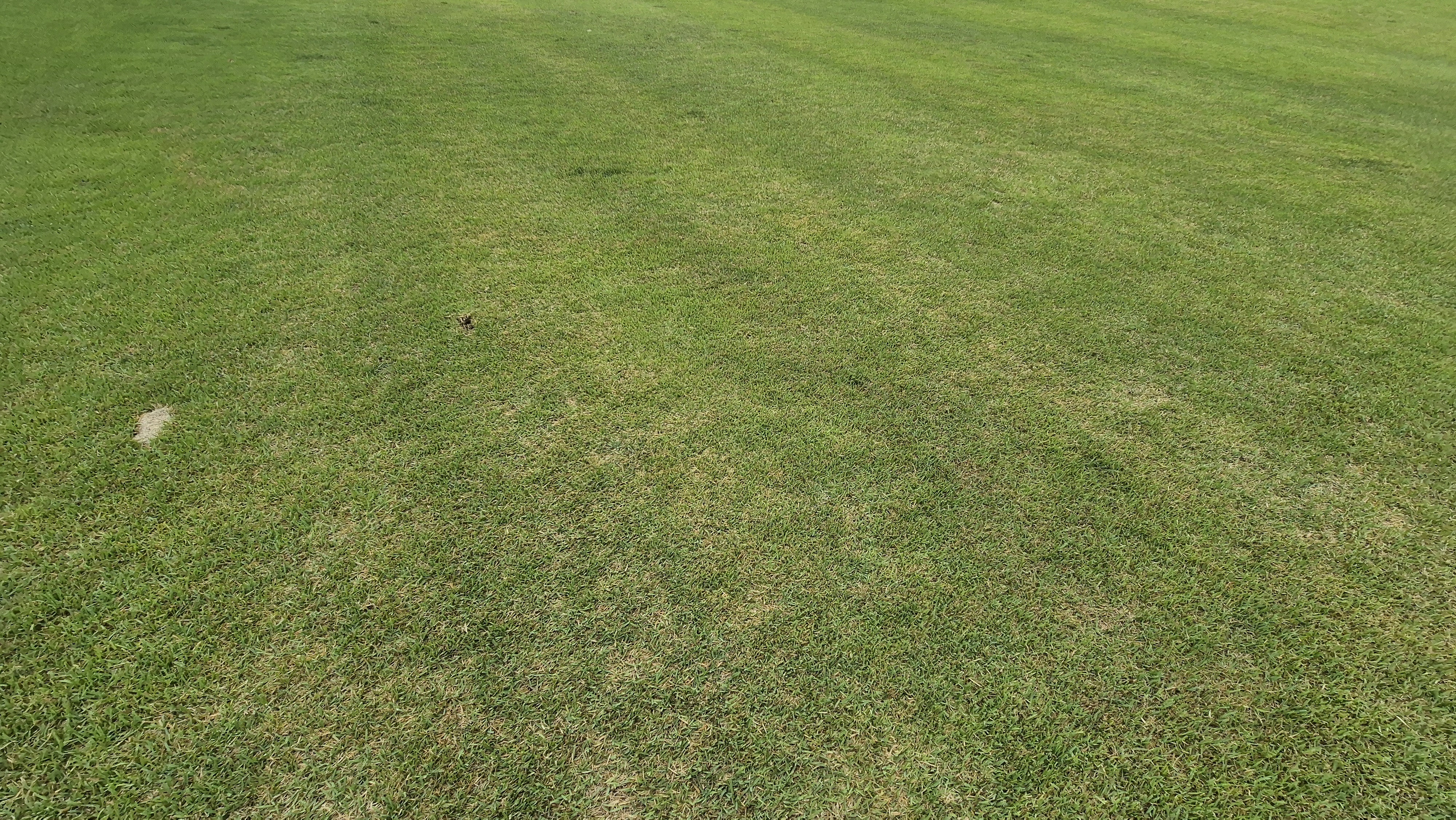 샴발라cc 라운드 후기