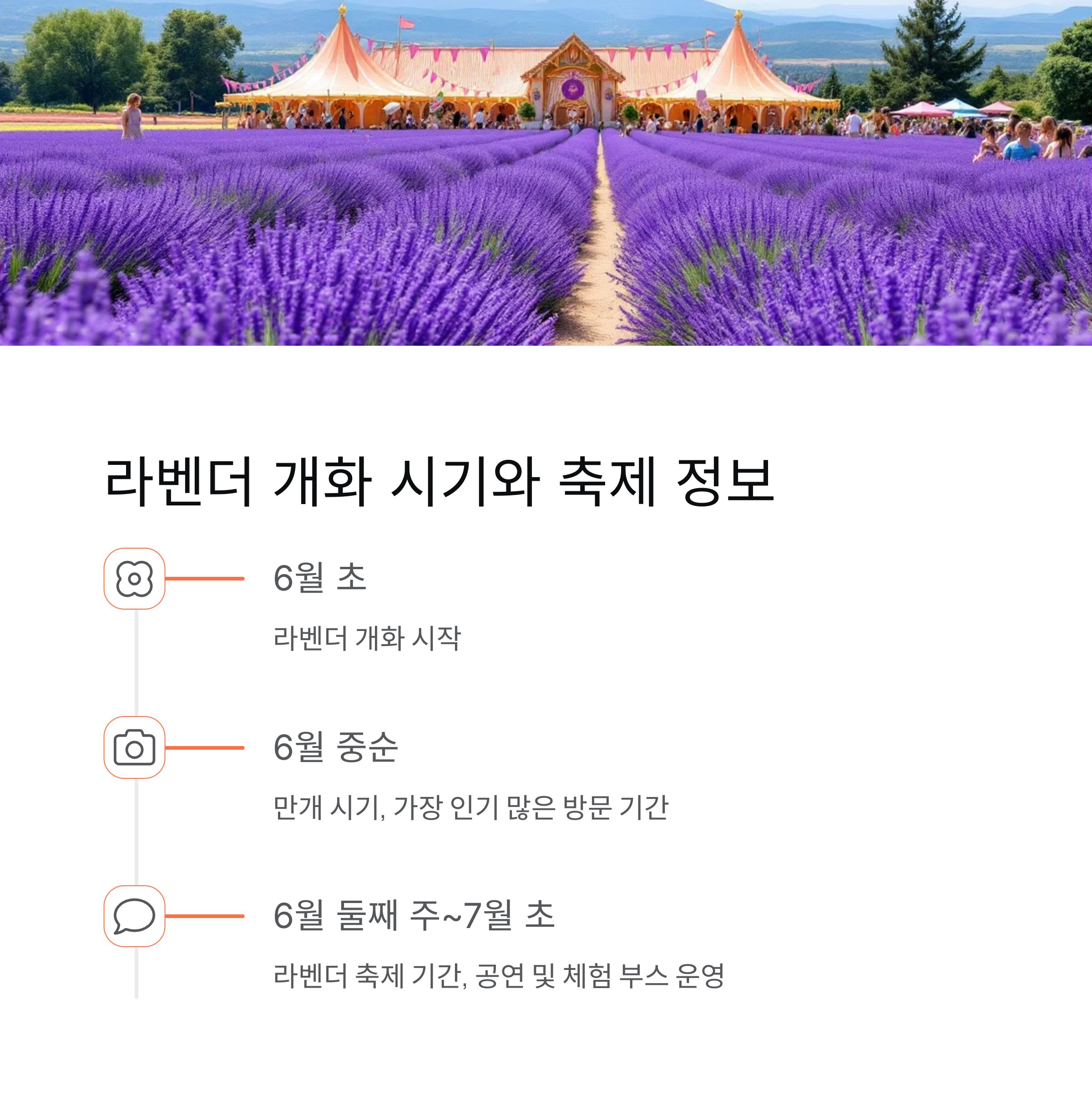 강원도 고성 하늬라벤더팜,