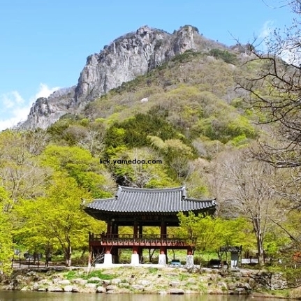 장성 가볼만한곳 베스트10