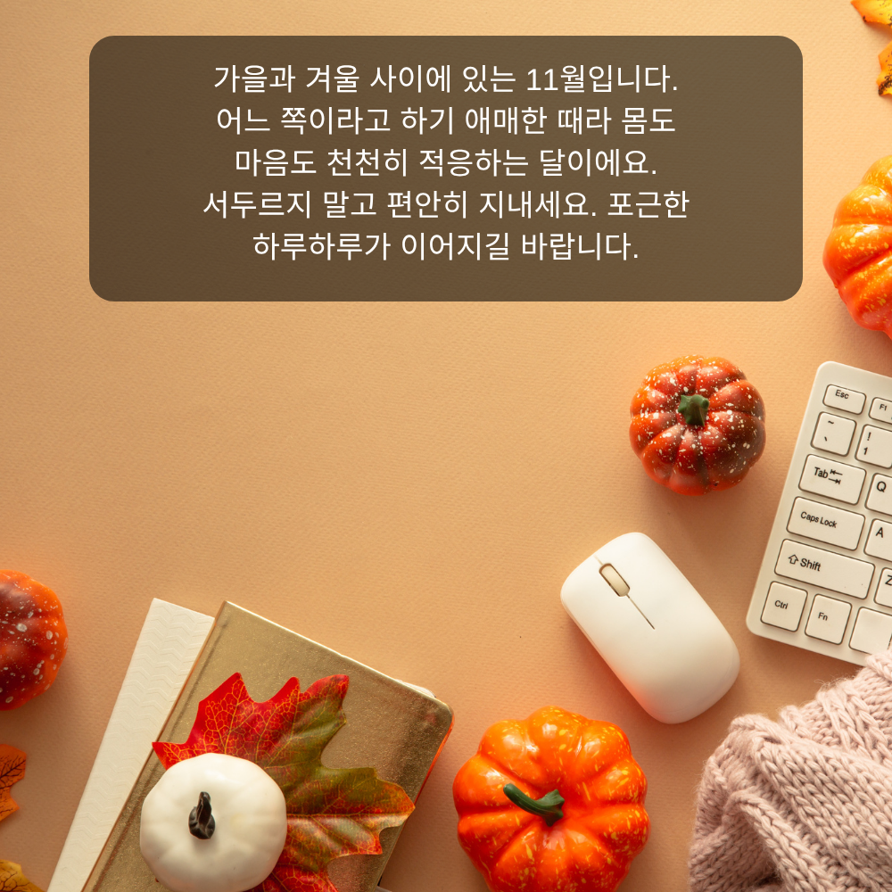 11월 인사말 11 가을과 겨울 사이 11월 인사말 이미지