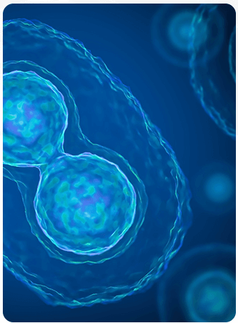 현대바이오-주가-전망-코로나치료제-관련주