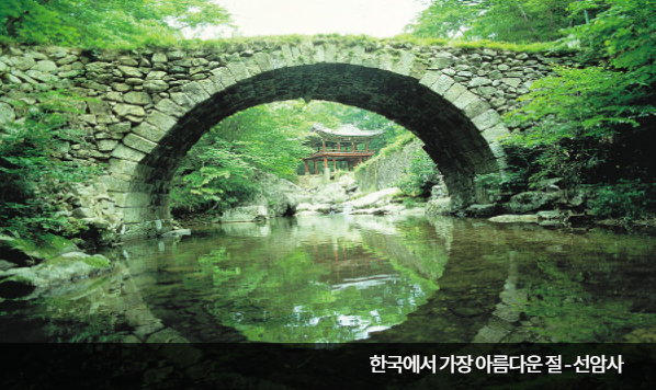 순천만습지 갈대밭